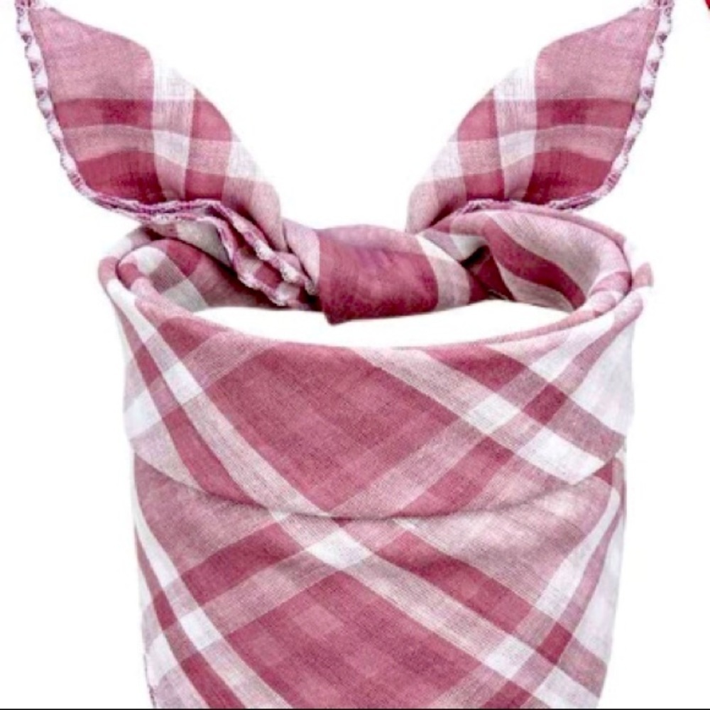 🎉HOST PICK! 🎉NWT Pet Bandana Washable Reversible